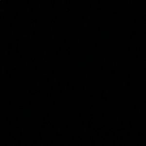 Meet your Posher, Bryce